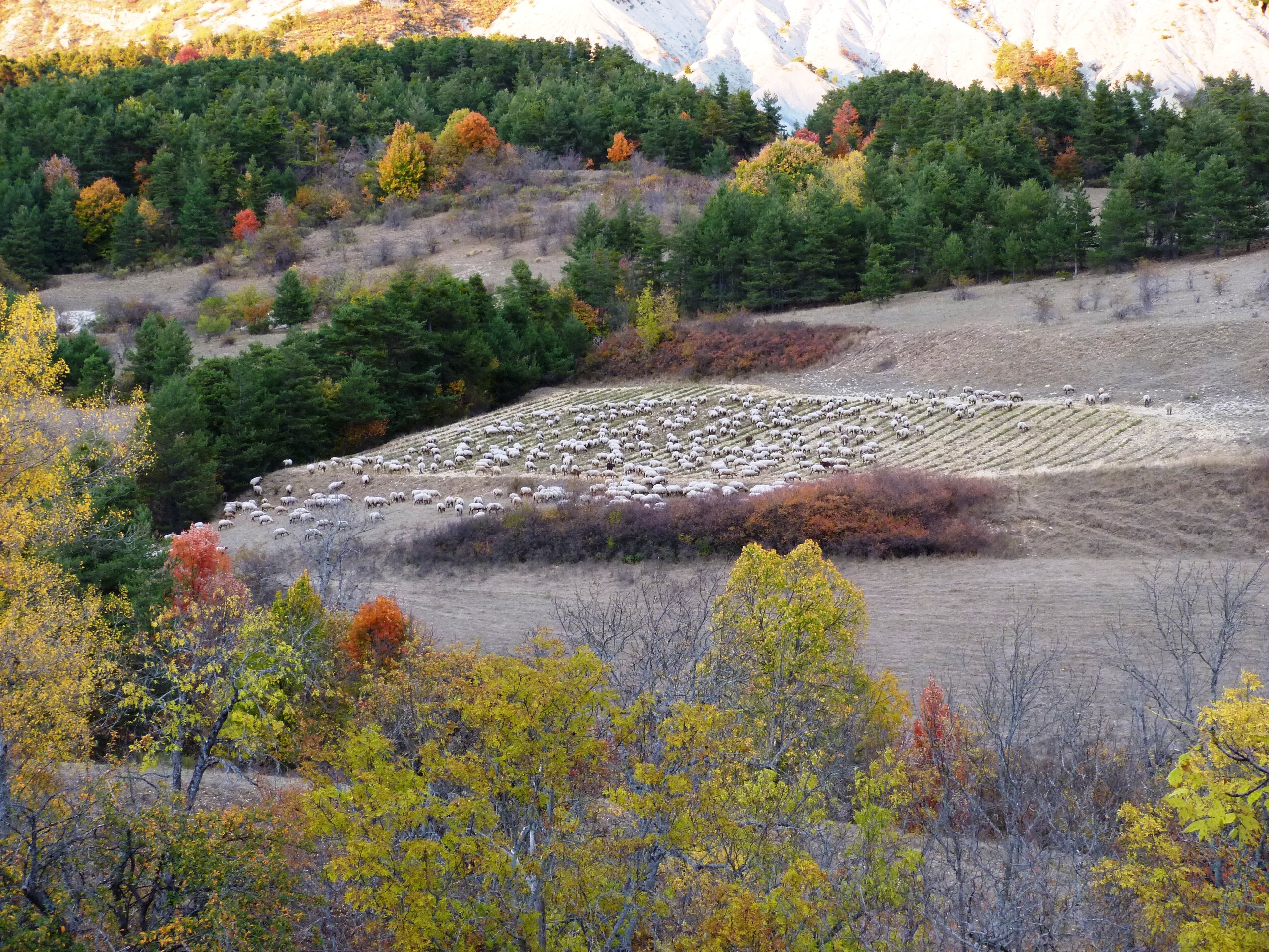 Travaux d'Automne